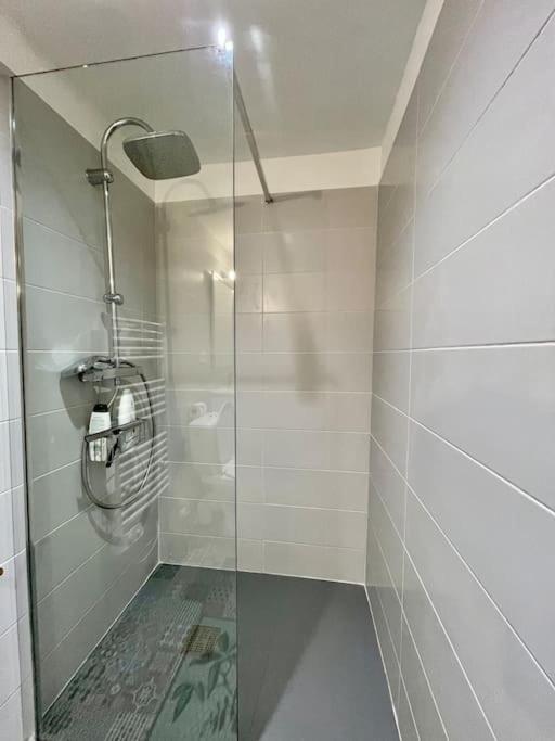 Appartement Confort - Carcassonne Centre Buitenkant foto